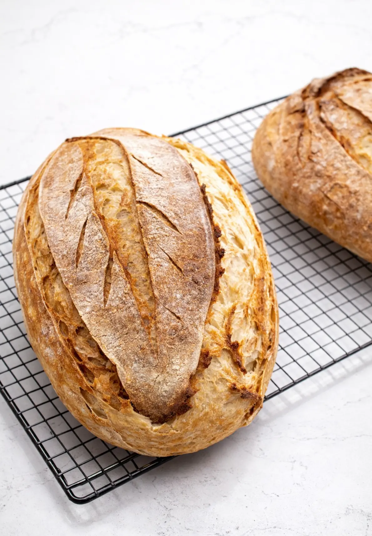 Oval sourdough batards with wheat-stalk scoring